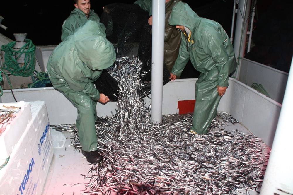 Hamsinin fiyatı, denizden tezgaha gelene kadar 3'e katlanıyor - 84292