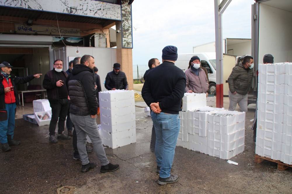 Hamsinin fiyatı, denizden tezgaha gelene kadar 3'e katlanıyor - 84293