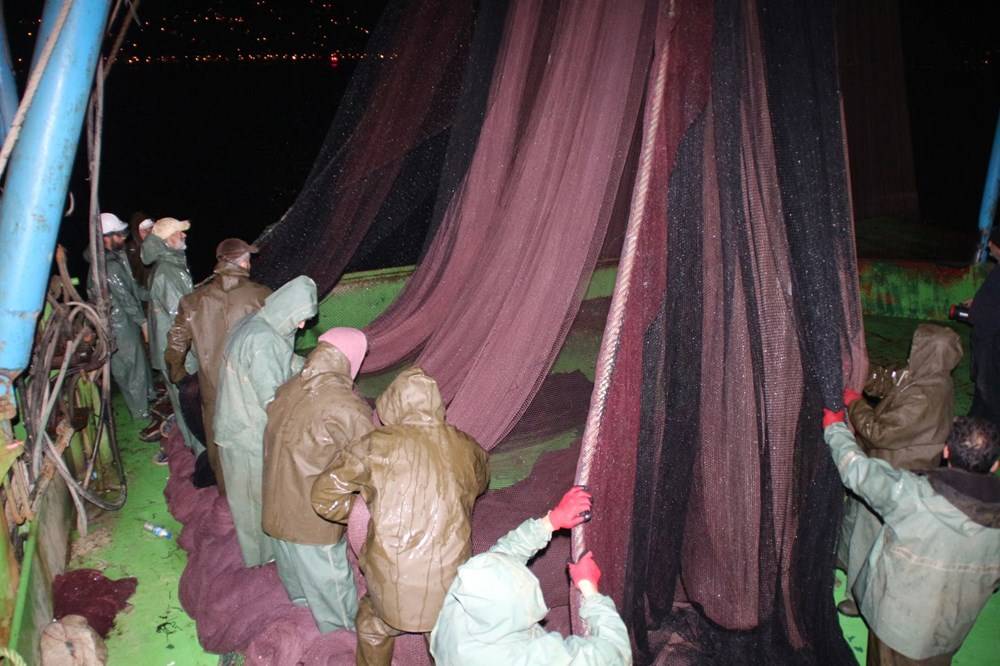 Hamsinin fiyatı, denizden tezgaha gelene kadar 3'e katlanıyor - 84294