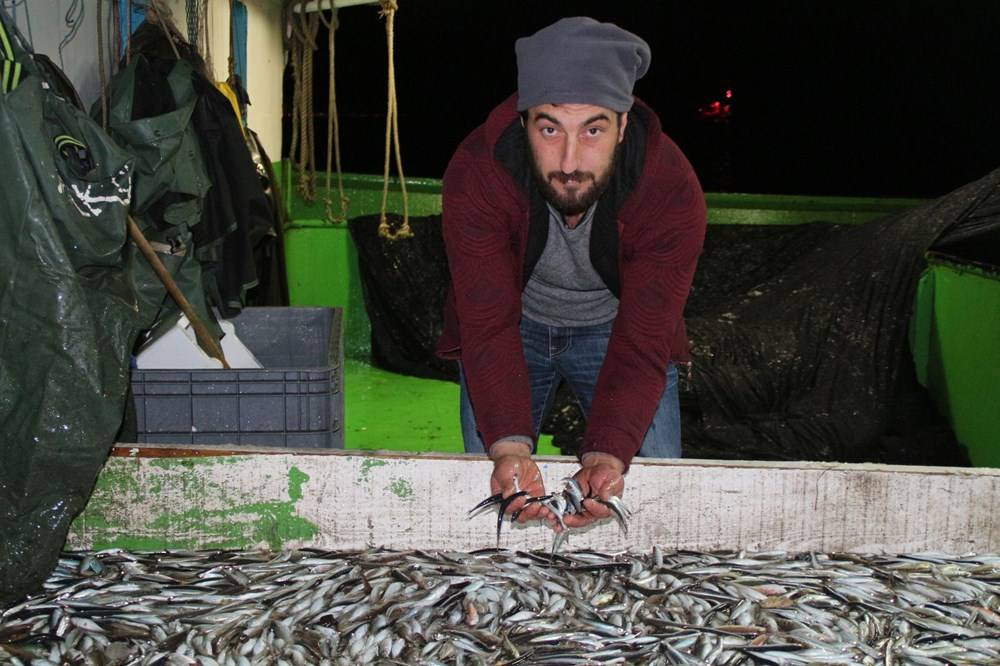 Hamsinin fiyatı, denizden tezgaha gelene kadar 3'e katlanıyor - 84295