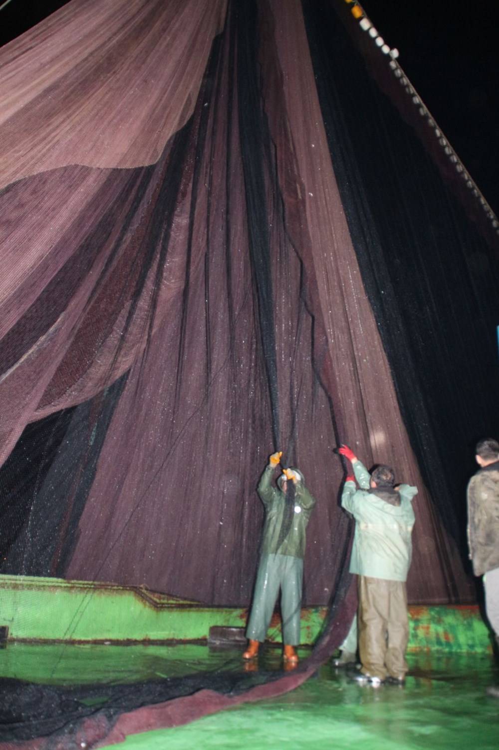 Hamsinin fiyatı, denizden tezgaha gelene kadar 3'e katlanıyor - 84297