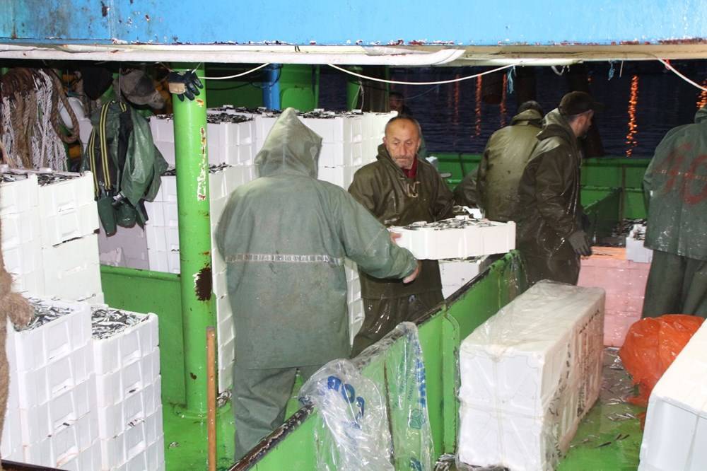 Hamsinin fiyatı, denizden tezgaha gelene kadar 3'e katlanıyor - 84298