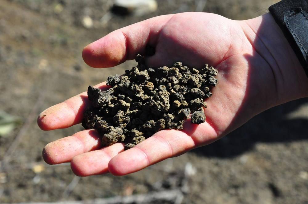 Manisa'da 5 bin yıllık ayak izi: Yeri gizli tutuluyor - 84624