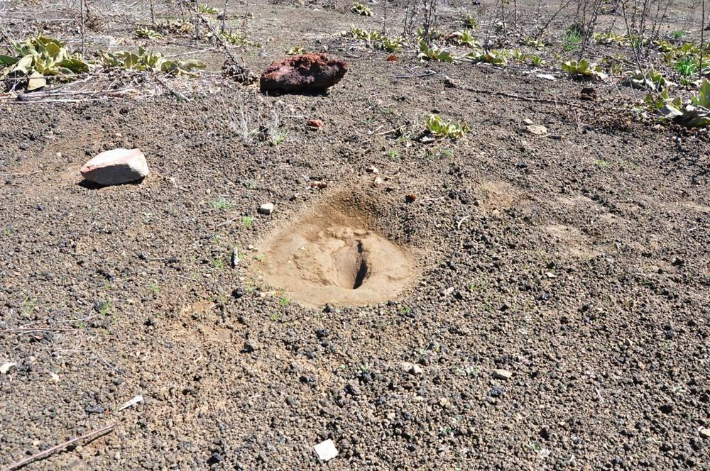 Manisa'da 5 bin yıllık ayak izi: Yeri gizli tutuluyor - 84627