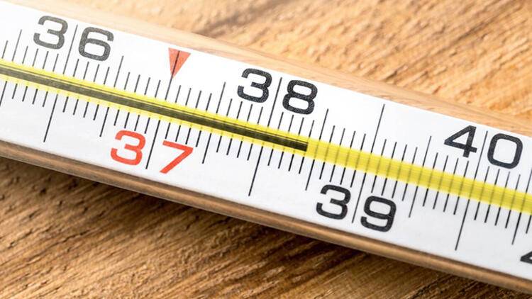 Yapınca anında değişiyor… Burundaki soğukluk ortaya çıkardı - 478