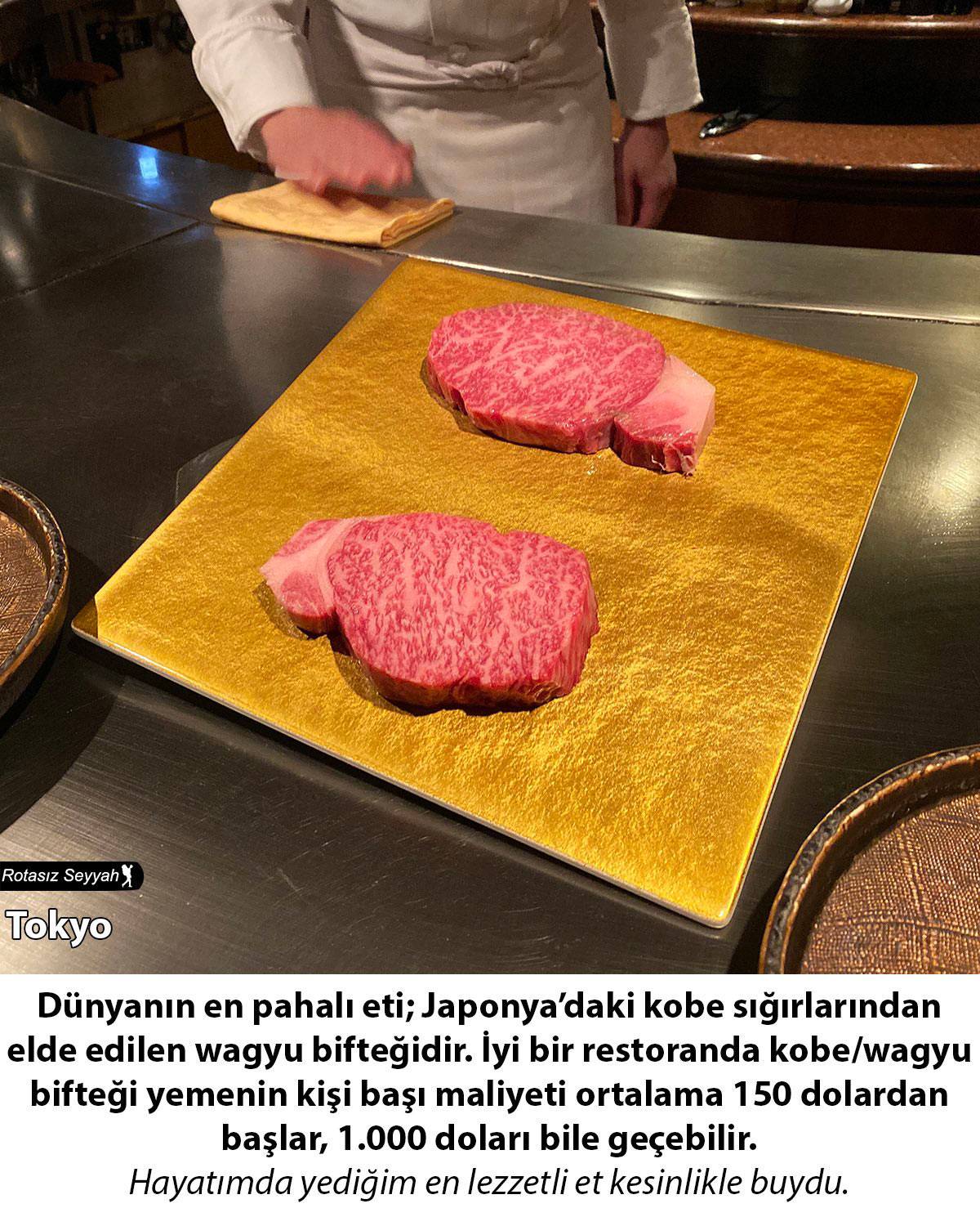 Ünlü gezgin dünyayı gezerken öğrendiklerini paylaştı… İşte o liste - 3