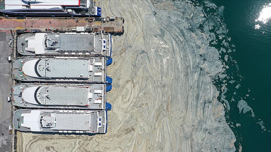 Müsilaj nedir, nerelerde var? Müsilaj (Deniz Salyası) nasıl geçer? - 18