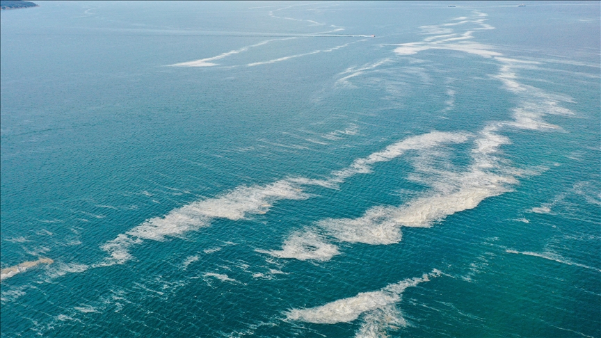 Müsilaj nedir, nerelerde var? Müsilaj (Deniz Salyası) nasıl geçer? - 19