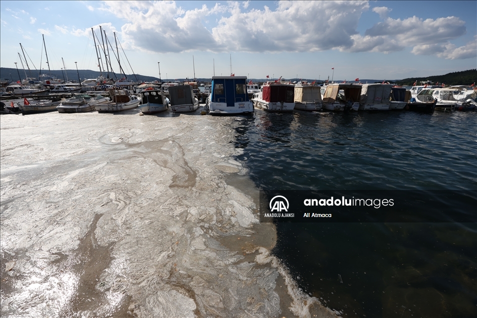 Müsilaj nedir, nerelerde var? Müsilaj (Deniz Salyası) nasıl geçer? - 9