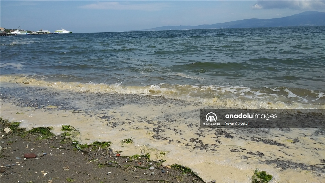 Müsilaj nedir, nerelerde var? Müsilaj (Deniz Salyası) nasıl geçer? - 22