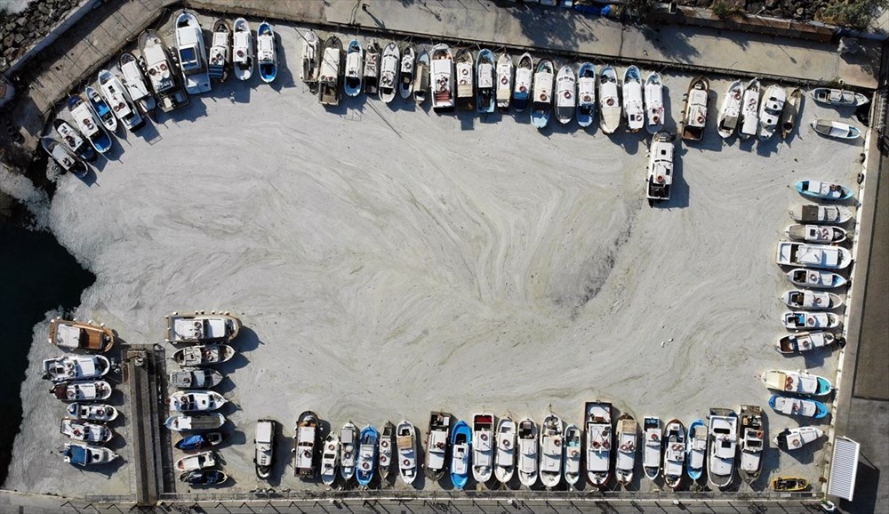 Çanakkale merkezinde kıyılarda müsilaj yoğunluğu oluştu - 3
