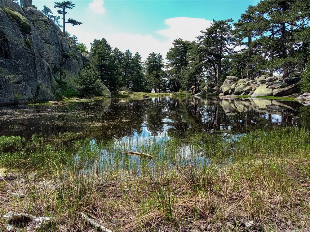 Kütahya'daki Eğrigöz Dağı'nın zirvesindeki doğal gölet keşfedilmeyi bekliyor - 4