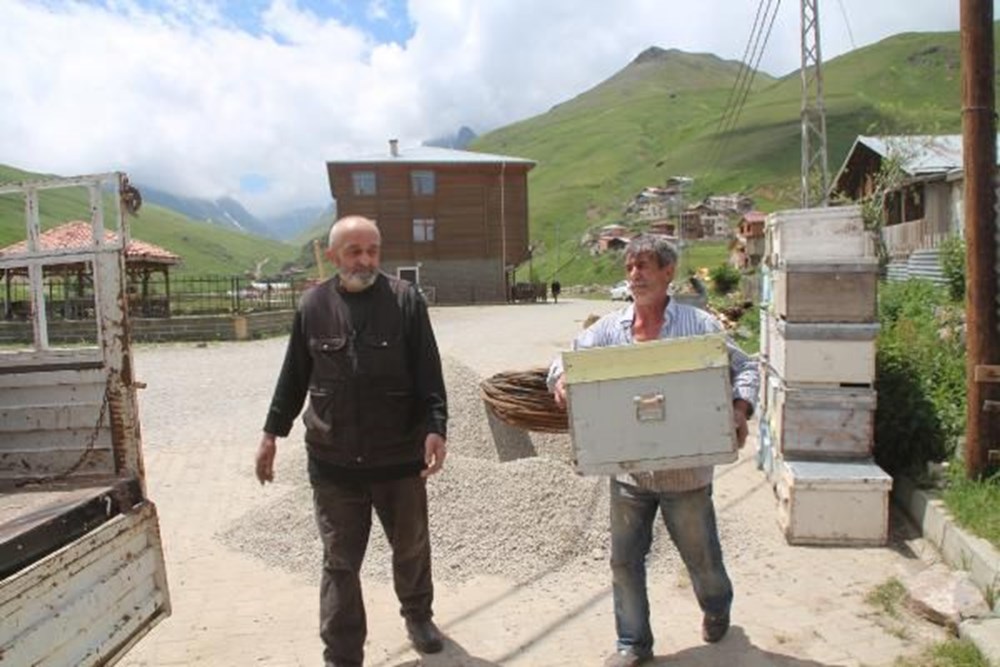 Anzer balında üretim sezonu açıldı - 2