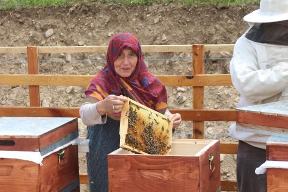 Anzer balında üretim sezonu açıldı - 3