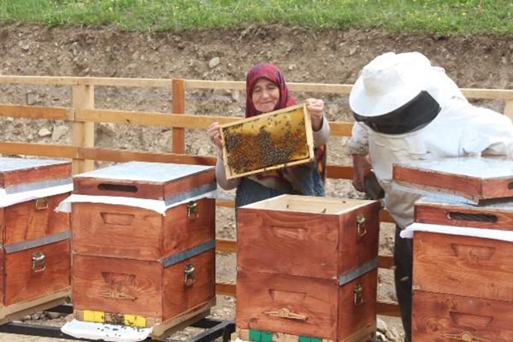 Anzer balında üretim sezonu açıldı - 7