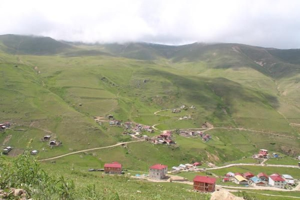 Anzer balında üretim sezonu açıldı - 8