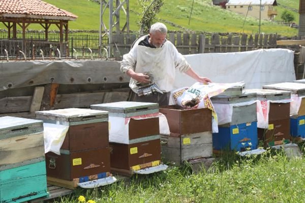 Anzer balında üretim sezonu açıldı - 13