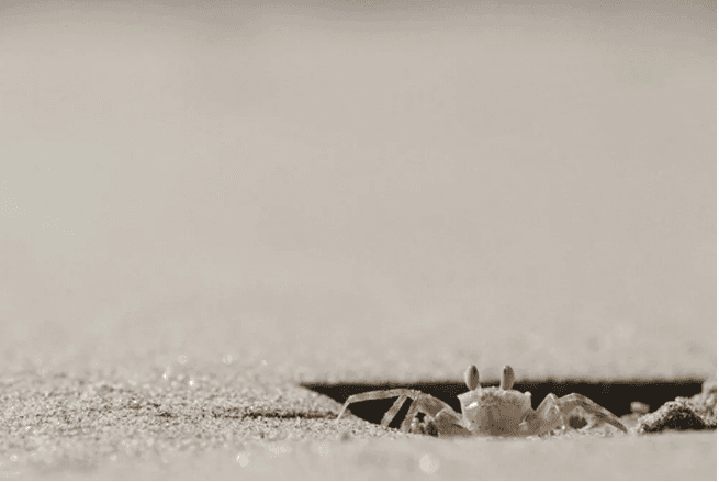 Yılın en iyi doğa fotoğrafları belli oldu - 12