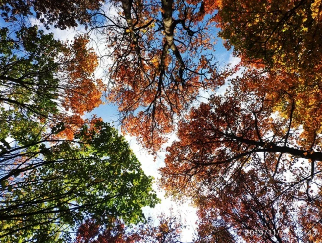Yılın en iyi doğa fotoğrafları belli oldu - 13