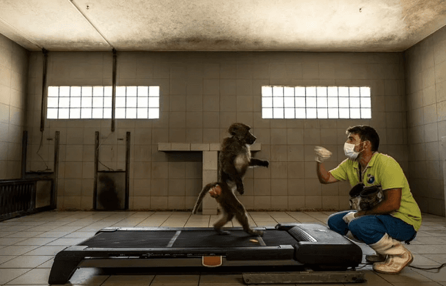 Yılın en iyi doğa fotoğrafları belli oldu - 7