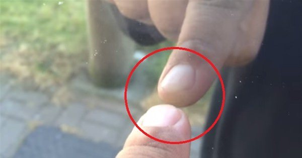 Bunları biliyor musunuz? - 22