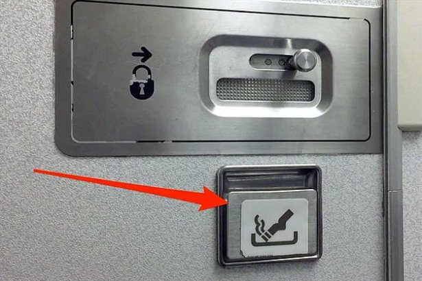 Bunları biliyor musunuz? - 28