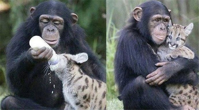 Muhteşem 'O an' fotoğrafları - 908