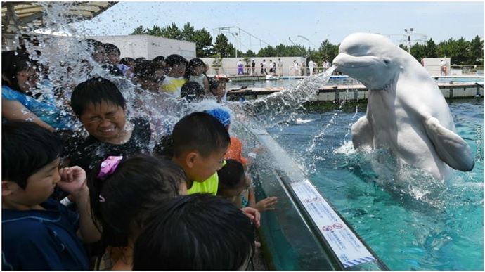 Muhteşem 'O an' fotoğrafları - 818