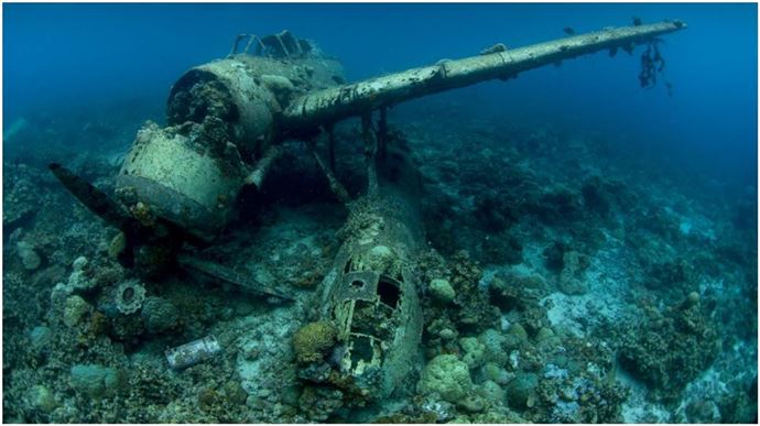 Muhteşem 'O an' fotoğrafları - 651