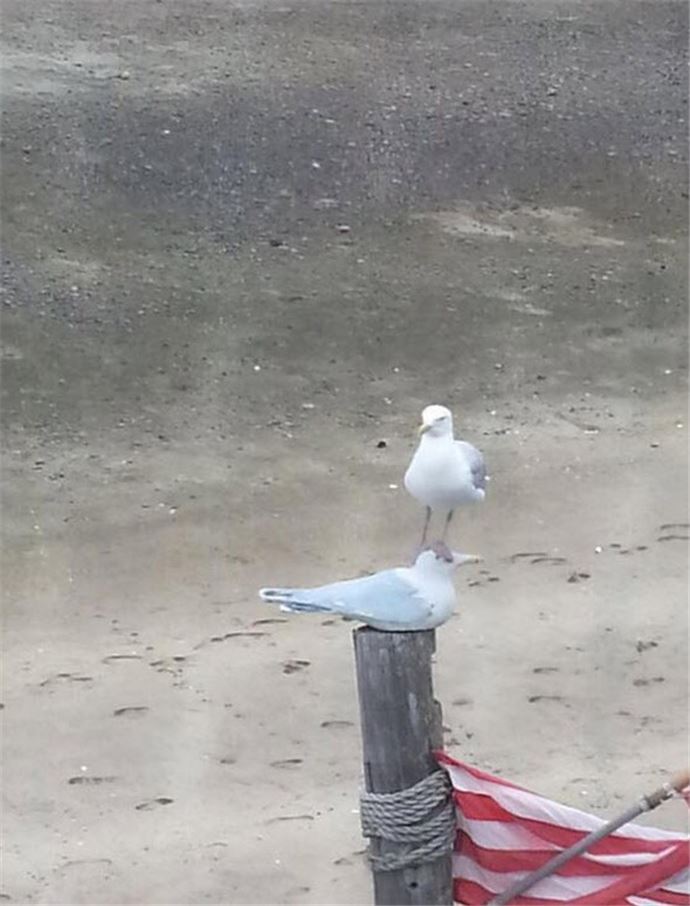 Muhteşem 'O an' fotoğrafları - 775