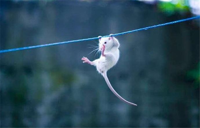 Muhteşem 'O an' fotoğrafları - 690