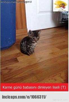 Güldüren karne günü capsleri - 889