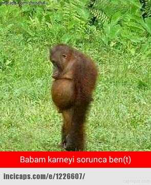 Güldüren karne günü capsleri - 790