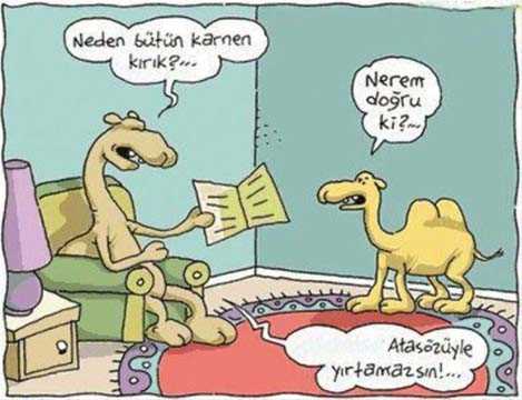 Güldüren karne günü capsleri - 726