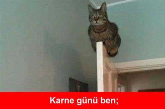 Güldüren karne günü capsleri - 914