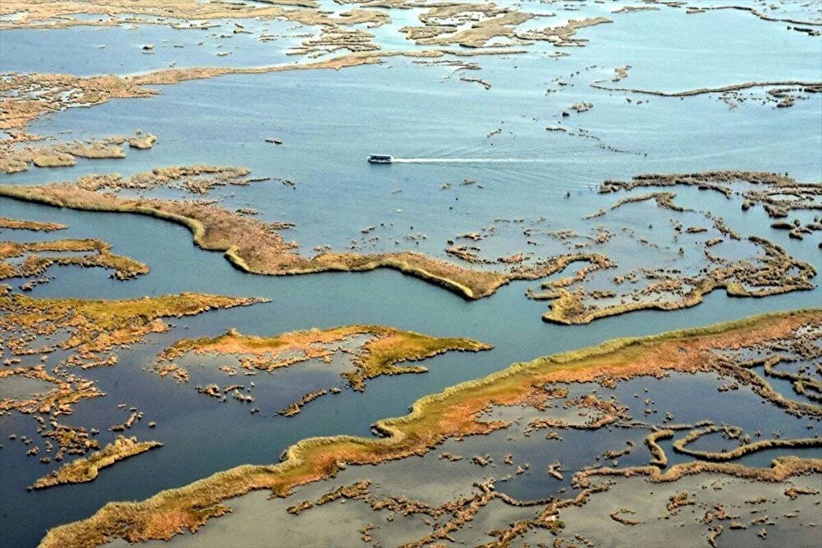 Her yıl bir milyon kişi ziyaret ediyor: Labirent görünümlü sazlıklar arasında geziyorlar - 11