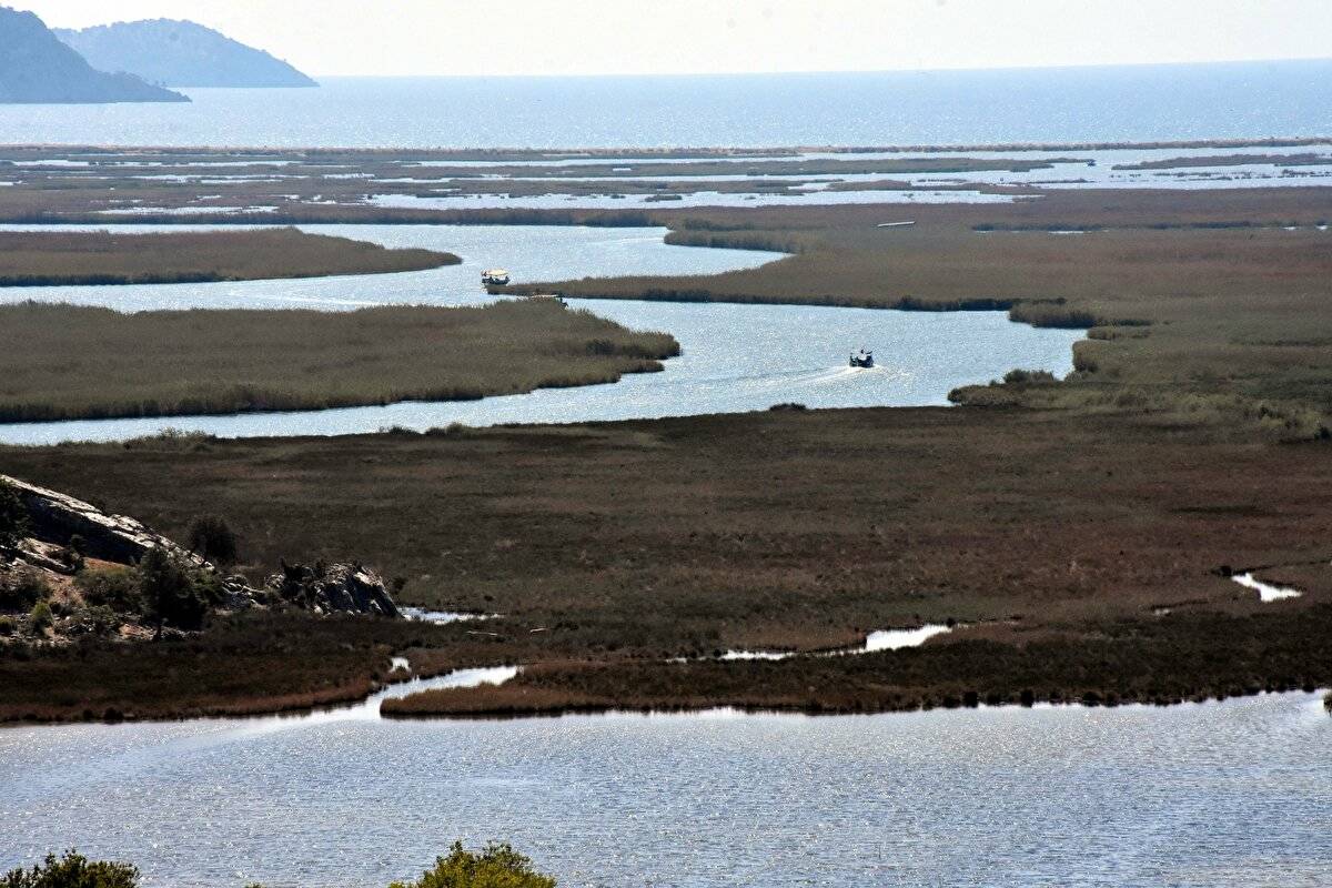 Her yıl bir milyon kişi ziyaret ediyor: Labirent görünümlü sazlıklar arasında geziyorlar - 14