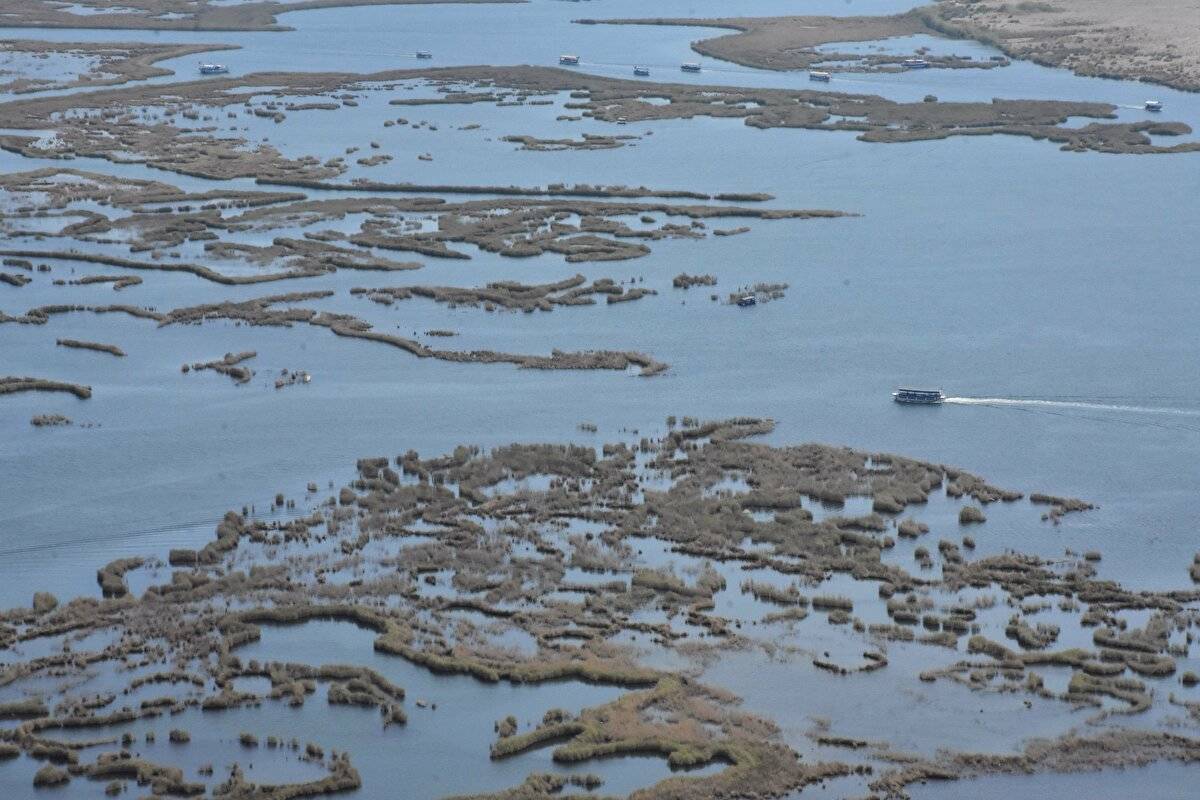 Her yıl bir milyon kişi ziyaret ediyor: Labirent görünümlü sazlıklar arasında geziyorlar - 1
