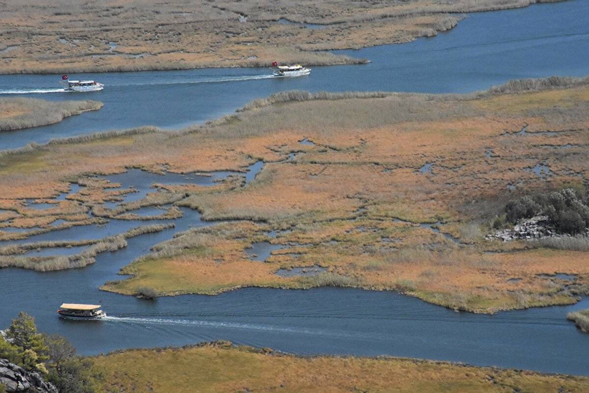 Her yıl bir milyon kişi ziyaret ediyor: Labirent görünümlü sazlıklar arasında geziyorlar - 5