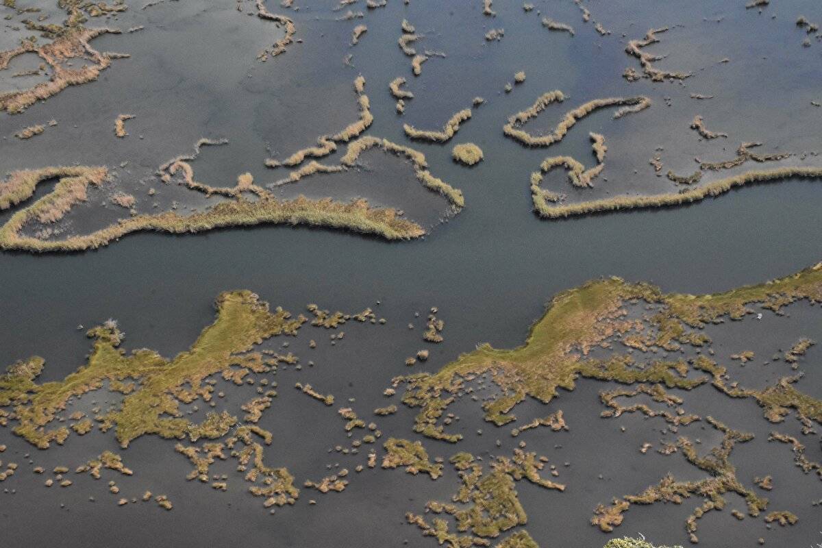 Her yıl bir milyon kişi ziyaret ediyor: Labirent görünümlü sazlıklar arasında geziyorlar - 17