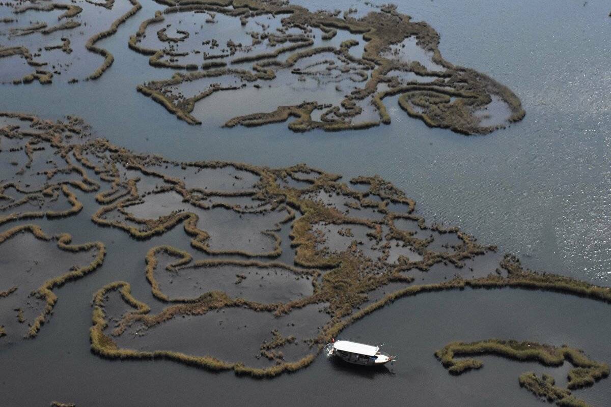 Her yıl bir milyon kişi ziyaret ediyor: Labirent görünümlü sazlıklar arasında geziyorlar - 3
