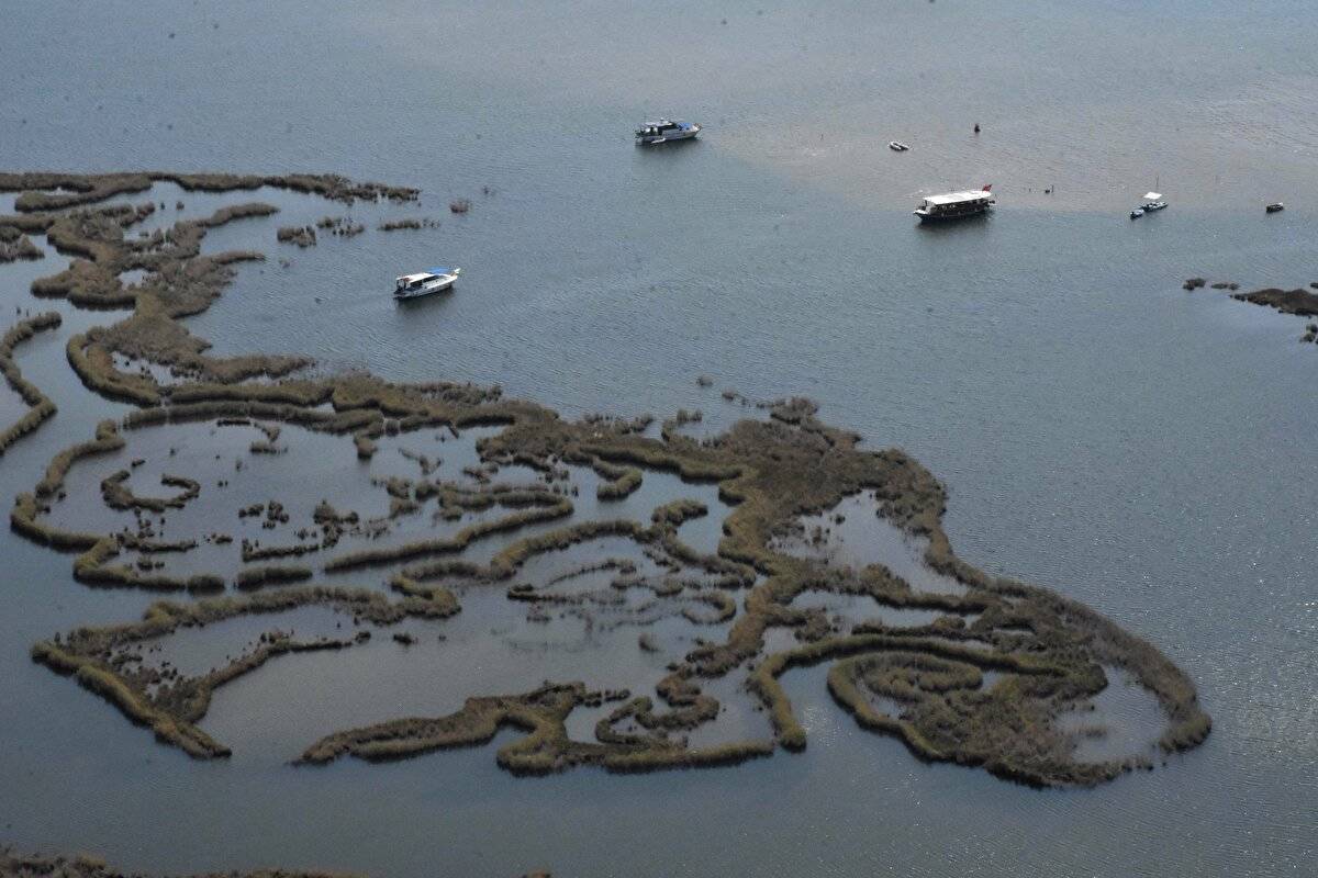 Her yıl bir milyon kişi ziyaret ediyor: Labirent görünümlü sazlıklar arasında geziyorlar - 19