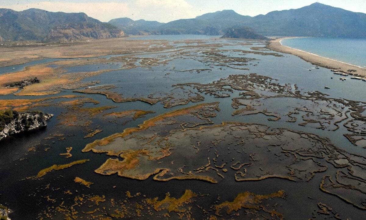 Her yıl bir milyon kişi ziyaret ediyor: Labirent görünümlü sazlıklar arasında geziyorlar - 20