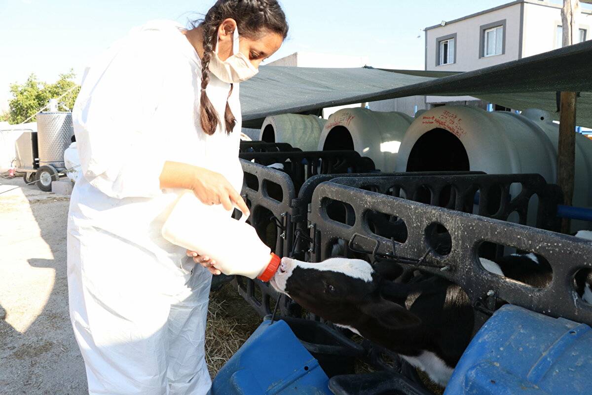 Avrupa'da görüp etkilendi: Devlet desteğiyle çiftlik kurdu - 8