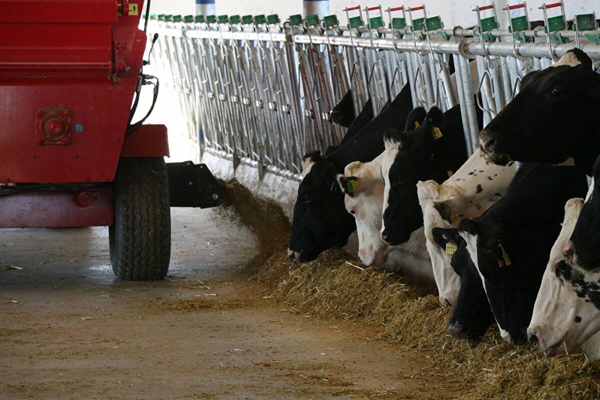 Avrupa'da görüp etkilendi: Devlet desteğiyle çiftlik kurdu - 14