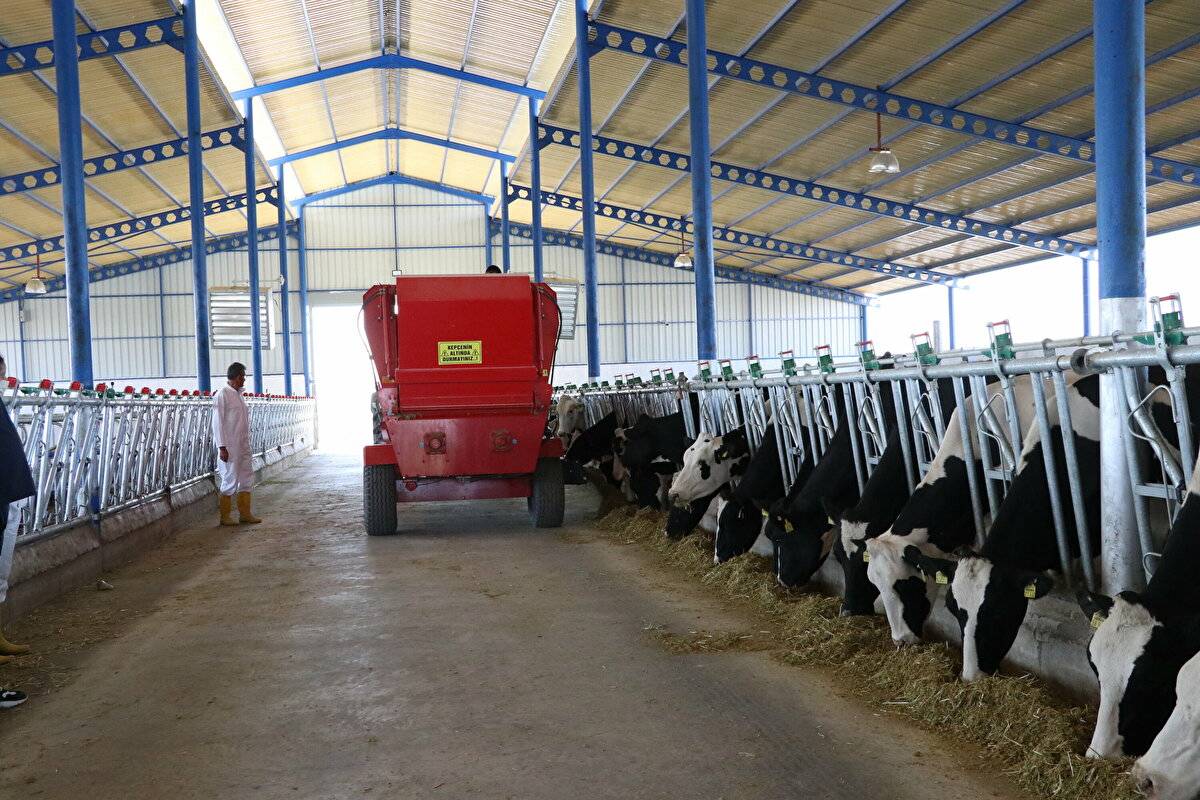 Avrupa'da görüp etkilendi: Devlet desteğiyle çiftlik kurdu - 15