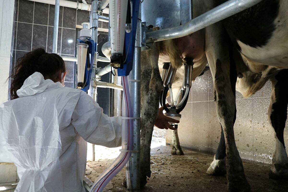 Avrupa'da görüp etkilendi: Devlet desteğiyle çiftlik kurdu - 16