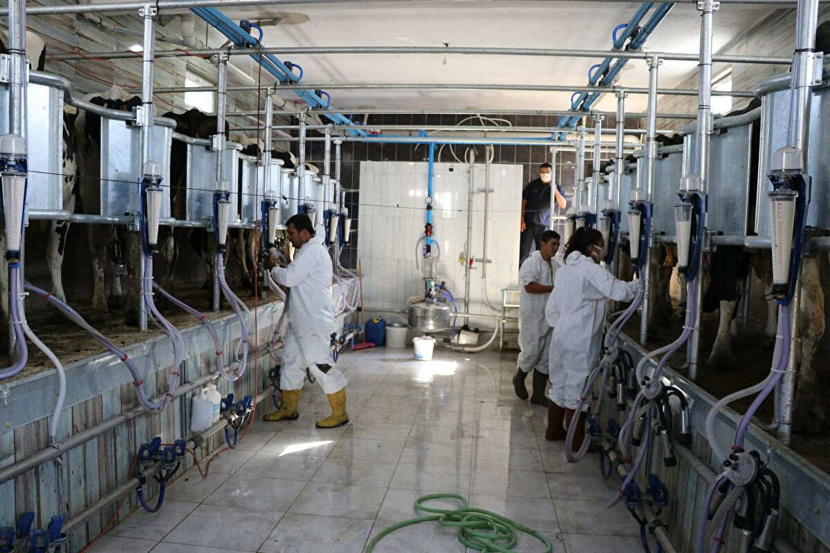 Avrupa'da görüp etkilendi: Devlet desteğiyle çiftlik kurdu - 17