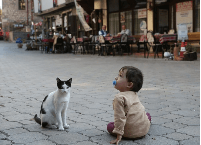 Giresun'da tarihi ve saklı güzellikleriyle turistlerin uğrak noktası: Şebinkarahisar - 5