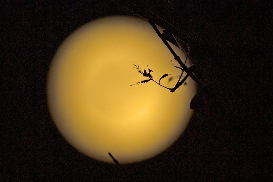 Çin'de düzenlenen Ay Festivali'nden ilginç fotoğraflar - 9